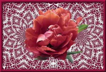 pour mon amour